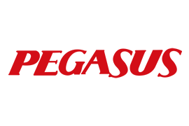 Comparador de Seguros de viaje en vuelos con Pegasus Airlines